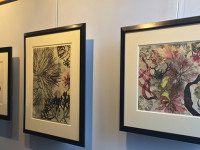 Olin’s living watercolors