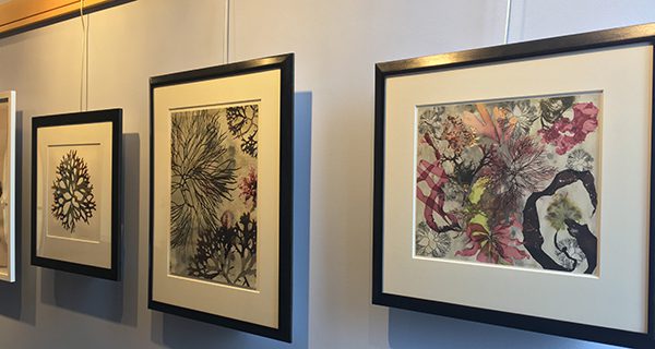 Olin’s living watercolors