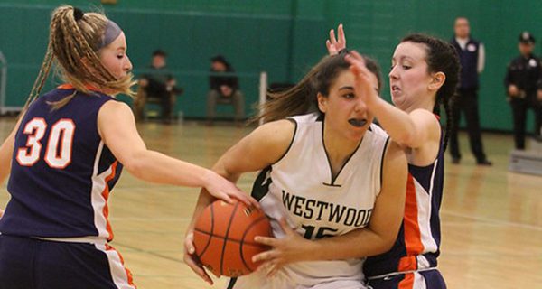 Wolverine girls  hoop concludes season in South Finals
