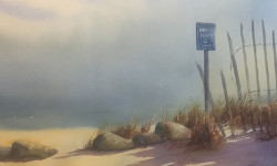 Nancy Walton to participate in Open Studios