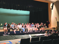 Walpole Dance Company has annual show