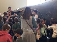 Westwood kids enter belly of the beast