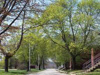 Hospital Planning Committee holding public meeting