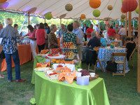 Zullo Art Festival on June 10