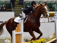 Sixth grader Kendall takes equestrian honors