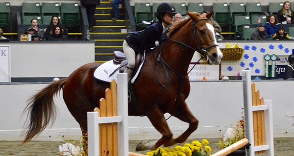 Sixth grader Kendall takes equestrian honors