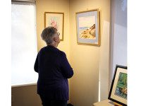 Artist Wollak’s work displayed at Medfield TV