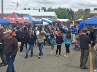 Annual Walpole Day is extraordinary success