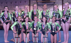 Westwood gymnasts excel in States, Regionals