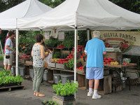 Locals tough out rain for farmers market