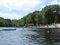 Hale hosting swim-a-thon