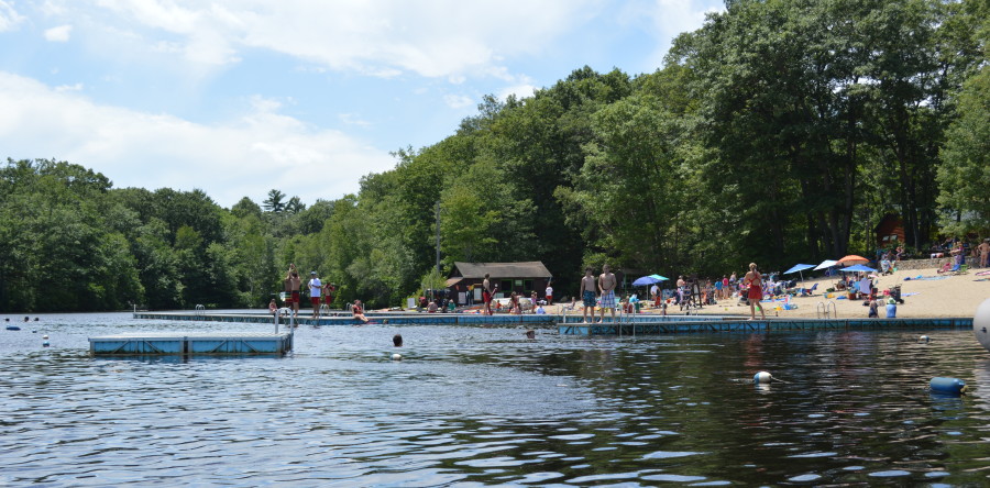 Hale hosting swim-a-thon