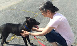 Ruff pasts, bright futures at dog rescue