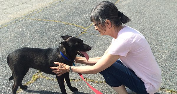 Ruff pasts, bright futures at dog rescue