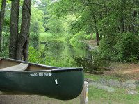 Summer brings changes to Rocky Woods