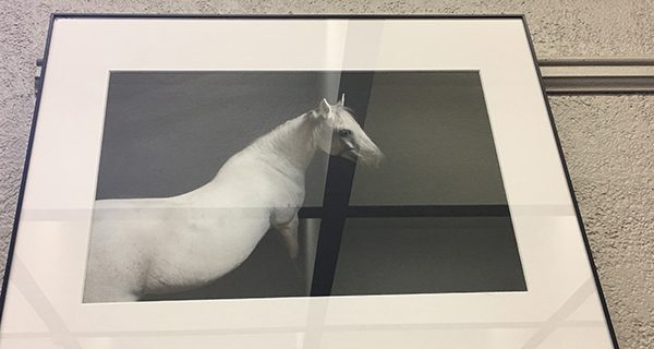 Exhibit combines love of art, horses