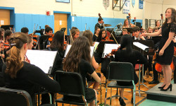 Medfield music CDs on sale