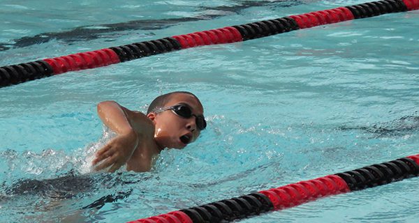 Barracudas win first summer swim meet