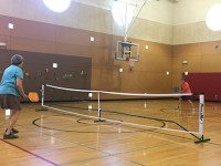 Pickleball craze reaches Wellesley