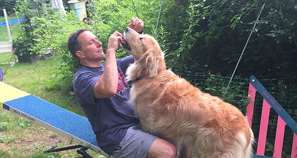 Westwood’s old dogs learn new tricks