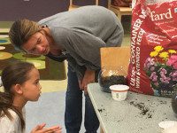 Westwood Library creates room-brightening terrariums
