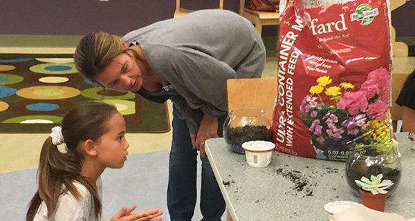 Westwood Library creates room-brightening terrariums