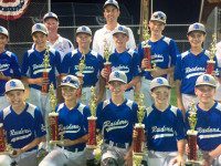 Strong summer showing by DS Youth Baseball