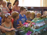 Rainforest reptiles last seen at Medfield Library