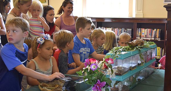 Rainforest reptiles last seen at Medfield Library