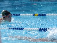 Local swimmers excite in summer championships