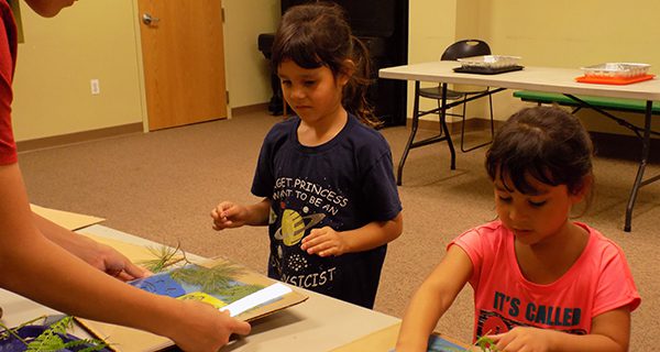 Dover Town Library’s ‘Crafternoon’ heads outdoors