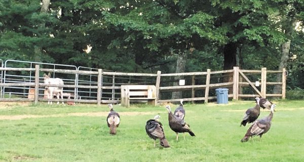 Unity Farm hosting Garden Club meeting