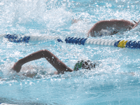 Local swimmers excite in summer championships
