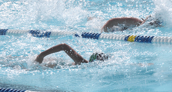 Local swimmers excite in summer championships