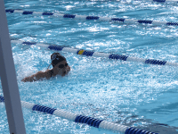 Local swimmers excite in summer championships