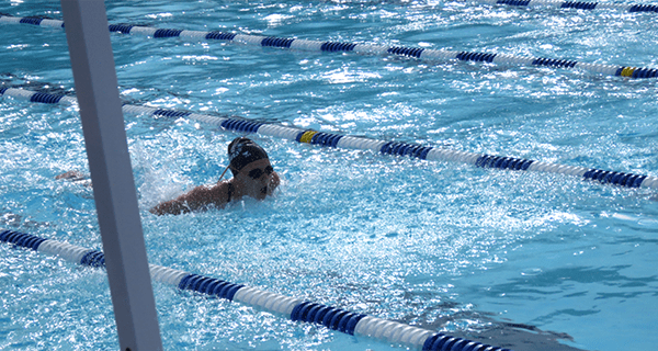 Local swimmers excite in summer championships
