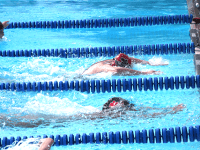 Local swimmers excite in summer championships
