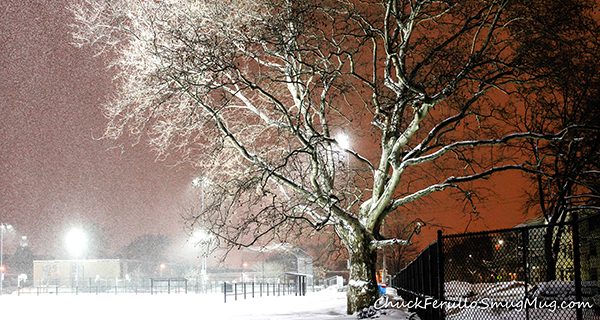 Ferullo photography exhibited at library