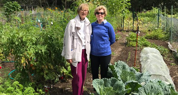 Community Gardens sprout altruism in Wellesley