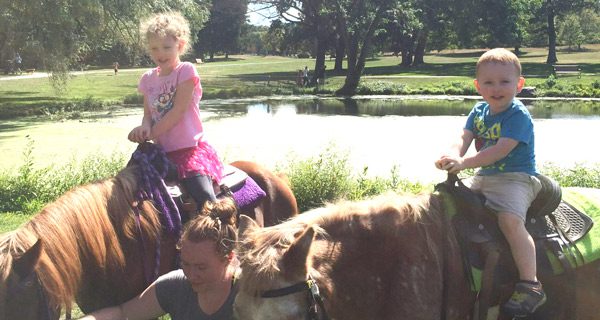 Apple Harvest Fair this weekend