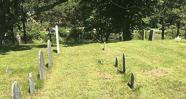 Vine Lake hosts lively treasure hunt