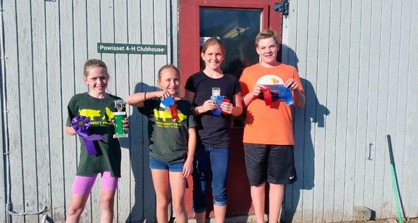 4-H members compete in swine show