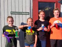 4-H members compete in swine show
