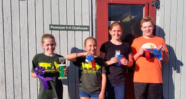 4-H members compete in swine show