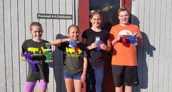 4-H members compete in swine show