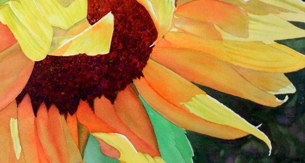 WSA sponsoring Sally Meding demonstration