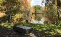 Fuller Brook Park restoration concluding