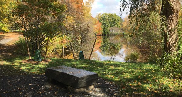 Fuller Brook Park restoration concluding