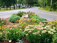 Garden Club continues to beautify Medfield