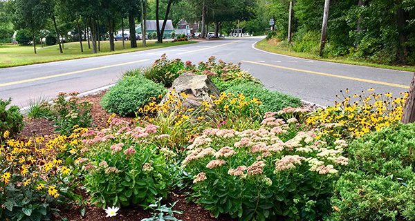 Garden Club continues to beautify Medfield